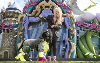 Un perro drag, mascota real del Carnaval de los cuentos