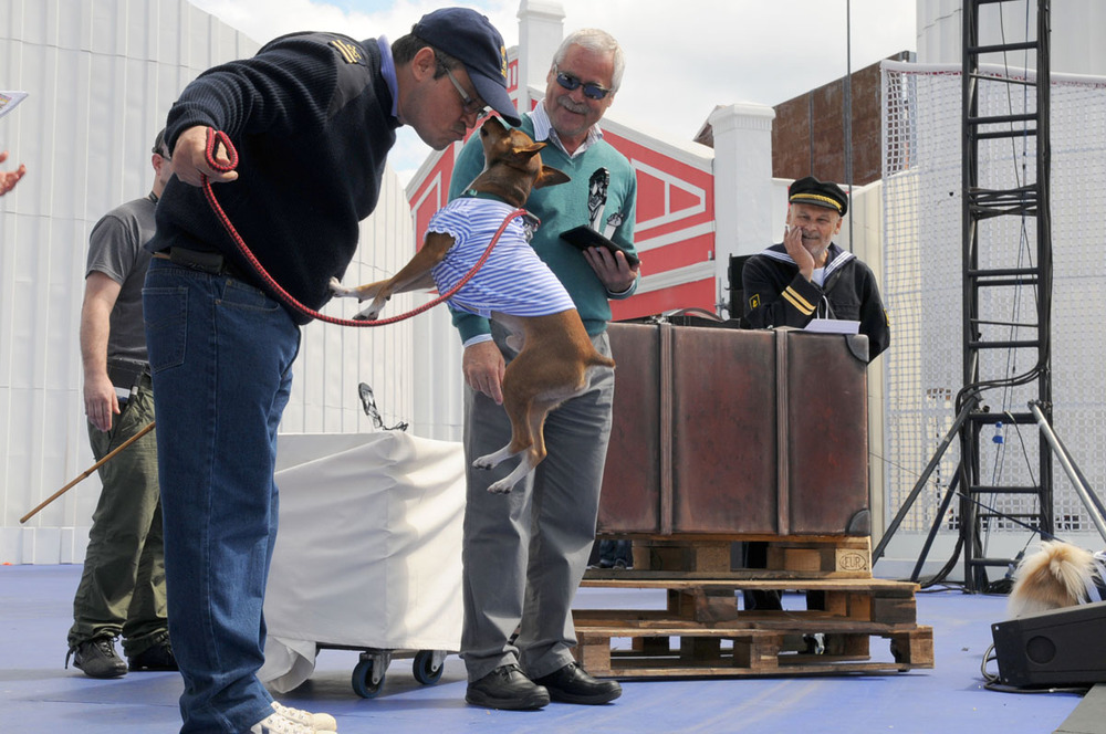 Actitud, simpatía y originalidad, distinciones del Carnaval canino