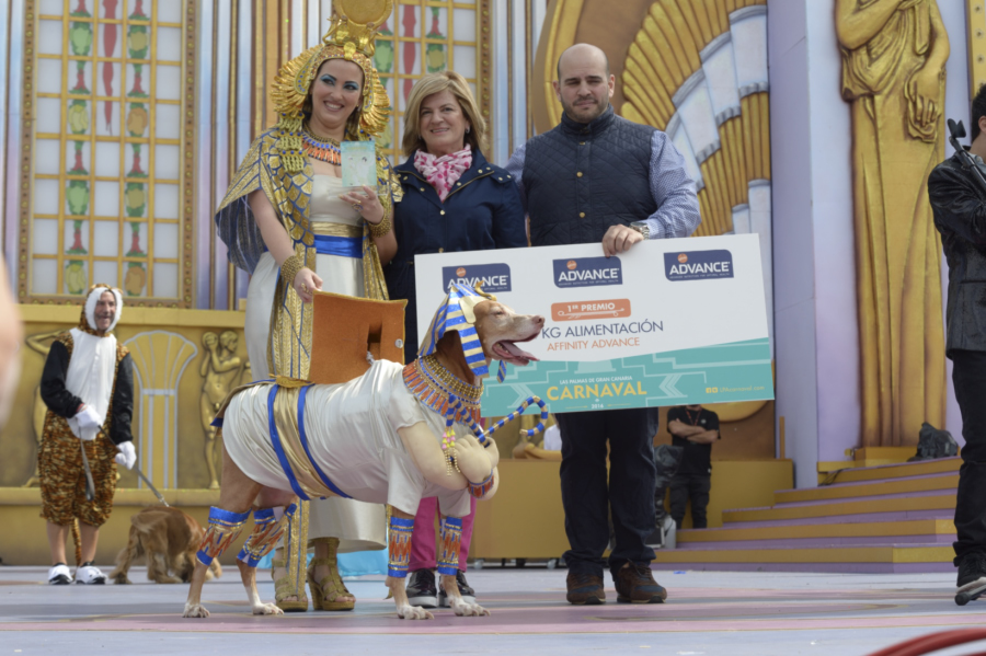El podenco Ashé, ganador del Concurso del Carnaval Canino